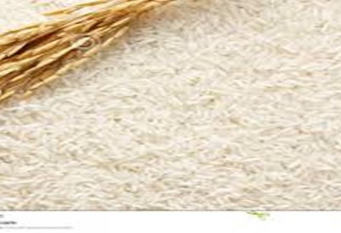 Pemerintah Berlakukan Harga Eceran Beras September Nanti